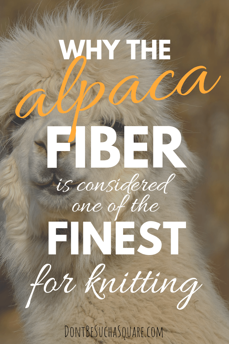 Why the Alpaca Yarn is considered one of the Finest Knitting Yarns – Learn more about alpaca yarn at DontBeSuchaSquare.com #yarn #alpacayarn #knitting
