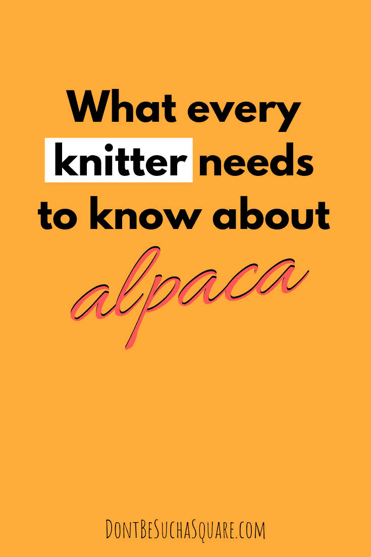 What every knitter needs to know about alpaca yarn – Learn more about alpaca yarn at DontBeSuchaSquare.com #yarn #alpacayarn #knitting